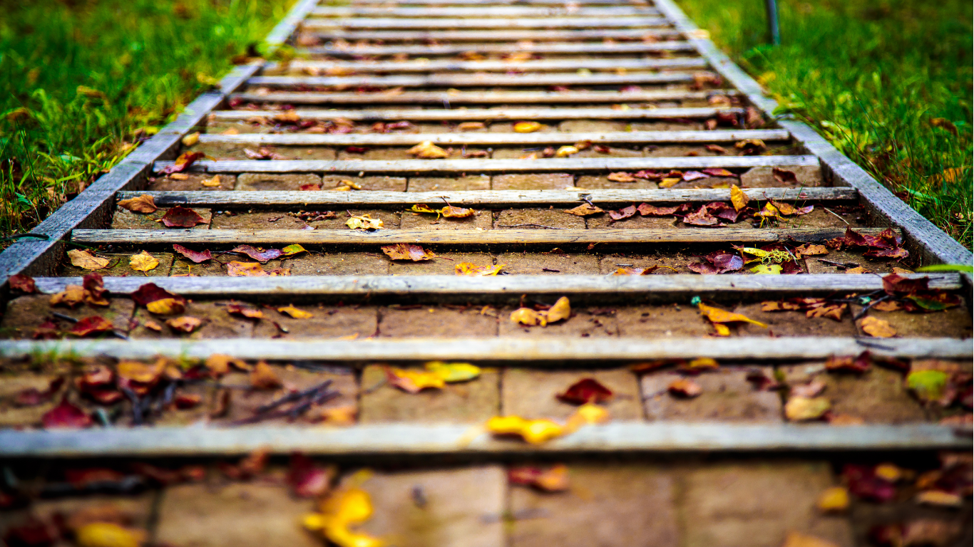 Stowarzyszenie OD-DO